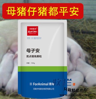 ĸӰĸƷ