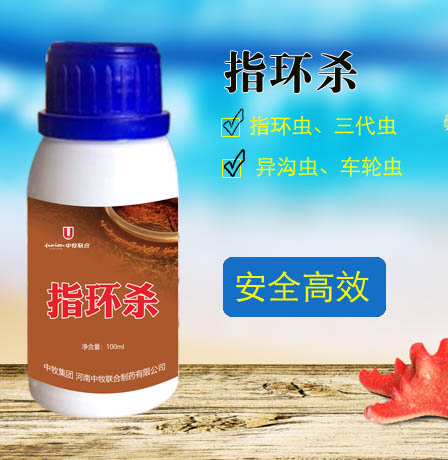 ָ桢רɱ
