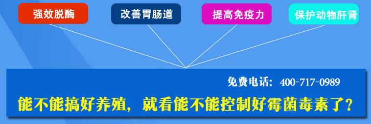 饲料脱霉剂