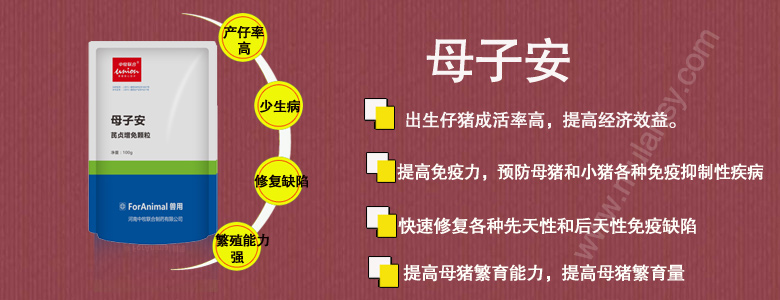 母猪保健药