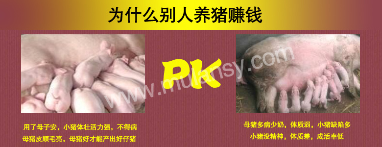 母猪保健药