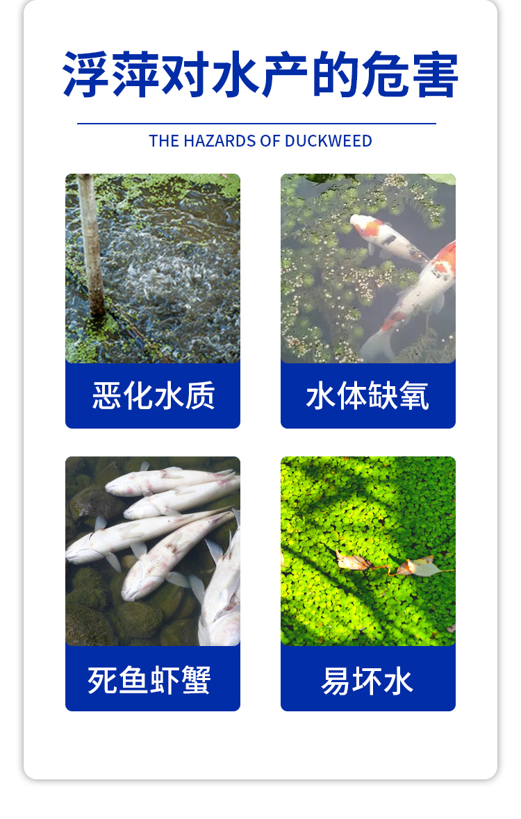 新生物浮萍净详情页_03.jpg